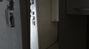 Жужжит холодильник Bosch kgv39xk2ar/01