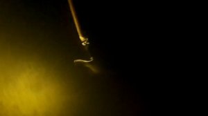 Охота на Акуле 5.09.2024