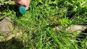 Садовый аккумуляторный ручной триммер POSENPRO для стрижки травы и живой изгороди