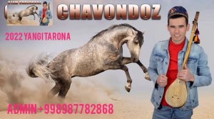 AXROR BAXSHI - HAYDA CHAVAG'ON KO'PKARI MUHLISLARI UCHUN