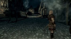 Elders scroll skyrim, sonic companion + mods