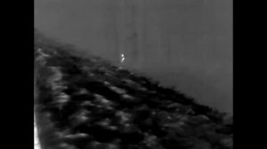 Тепловизор iRay xEye E3W -- ОТ МЫШКИ ДО САМОЛЁТА --видео №3 ЗАЙЦЫ В КУСТАХ.