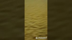 Тойота Ноах 2009г установка подогрева сидений