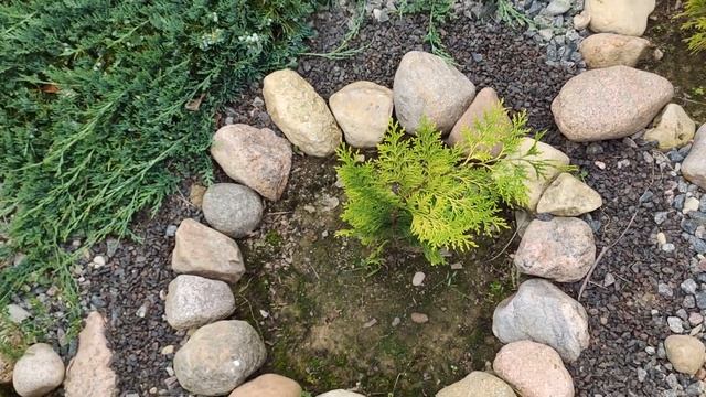 Когда рокарию уже больше 10 лет. смотреть онлайн