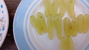 КИШМИШИ ЛАМБОРДЖИНИ! АЛИСА! ЩЕЛКУНЧИК!ДЕГУСТАЦИЯ! WhatsApp и Viber +79528500417.