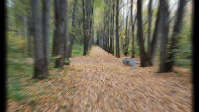 красивые виды