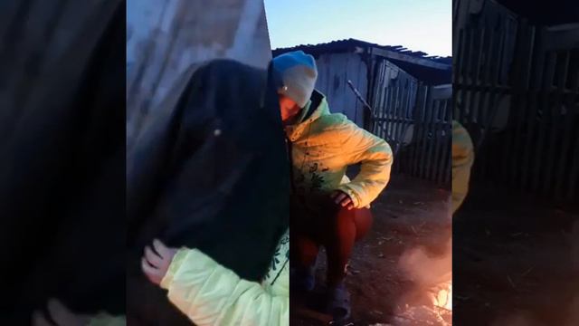 деревянная свадьба смотреть онлайн