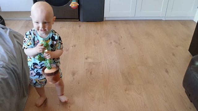 Танцующий Платон и Чудо Кактус! Dancing Baby and the miracle cactus! смотреть онлайн