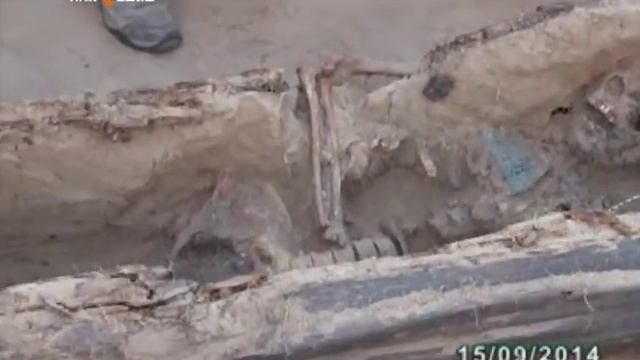 Сегодня на 10 км покровского тракта группа археологов вскрыли древнее захоронение женщины