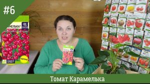 Томатная экзотика: 10 сортов помидор с необычной окраской и вкусом. Семена томатов 2020