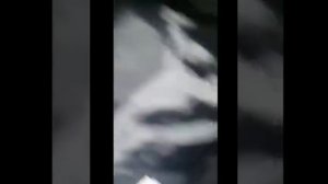 Сюрприз родителям.Новый год в Армении 2022?