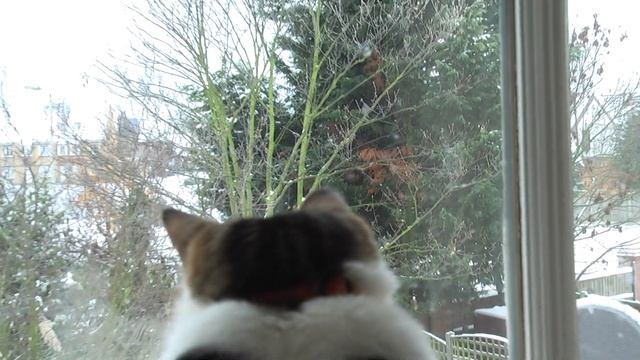 00008.ts смотреть онлайн