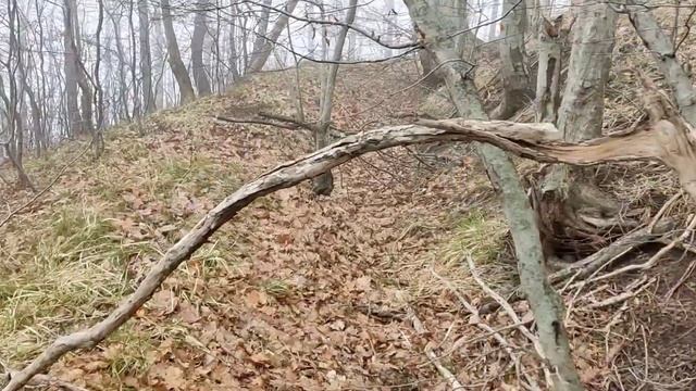 Туапсе. Кадош. Тропа вдоль ручья. Дача инженера Коробко (Горелая дача).