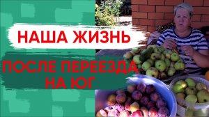 166. Обзор наших заготовок на зиму/Жизнь после переезда на юг с Урала.mp4