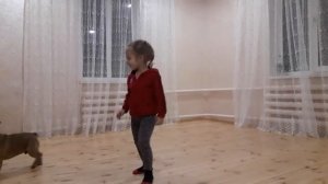 Французский бульдог и дети