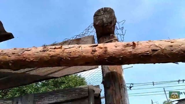 Как построить сарай (Типо DIY) смотреть онлайн