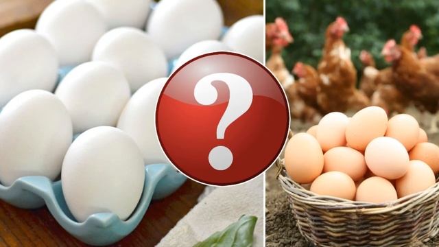 Белые и Коричневые Яйца: В Чём Разница? смотреть онлайн