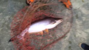 Семейный отдых на "Вилла Ди" в Таиланде