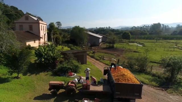 Co-impact Sourcing: Лаванда, цитрусовые, Перечная мята смотреть онлайн