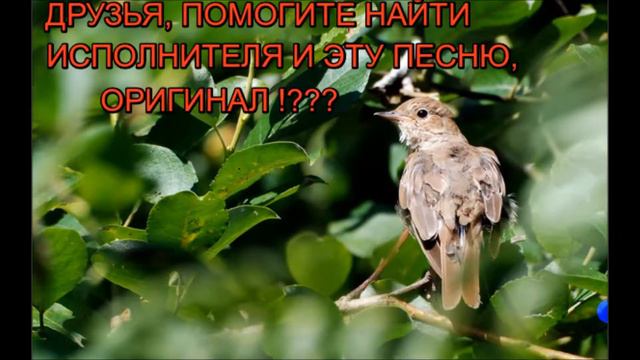 А ВЫ ЗНАЕТЕ, КТО ПОЁТ ЭТУ ПЕСНЮ? смотреть онлайн