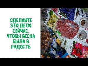 Сделайте это важное дело сейчас, чтобы весна была в радость