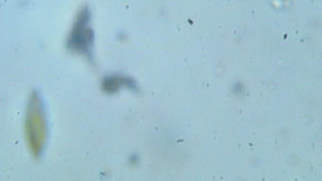 микрополис смотреть онлайн