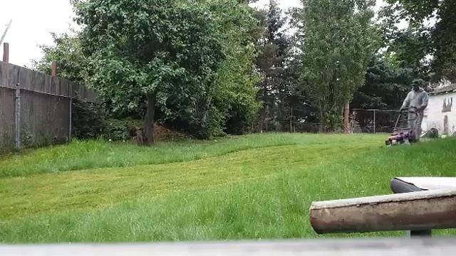 Honda hrc216. Mowing tall grass смотреть онлайн