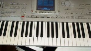 KORG PA1X Pro (DEMO songs) solo instruments