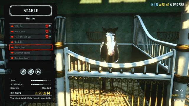 Is this a MISTAKE in Red Dead Online ⁉ LOW LEVEL Players need to ACT FAST