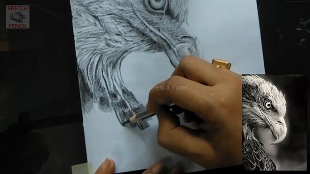 How To Draw Realistic Eagle Drawing, How To Draw Hyper Realistic Eagle Face With Pencil - Part 2 смотреть онлайн