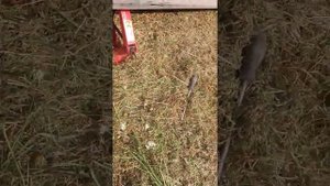 Замена колодок, Аккорд Торнео, кому помогло лайк)