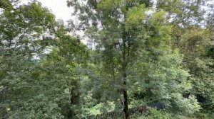 Купить дом в Сочи недорого. Купить дом с ремонтом в Сочи. Продажа домов в Сочи