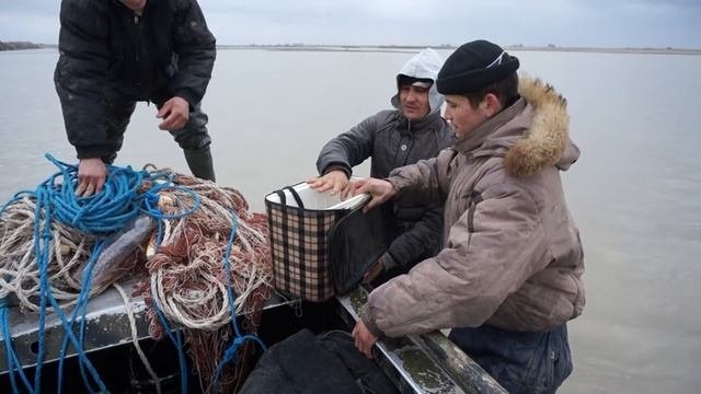 За лопатоносами  Хорезм  Декабрь 2015 г  Амударья Хива  Часть III