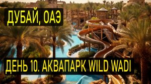 10 день. Аквапарк Wild Wadi, Дубай. ОАЭ