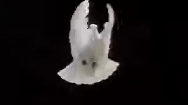 Голубь на чёрном фоне смотреть онлайн