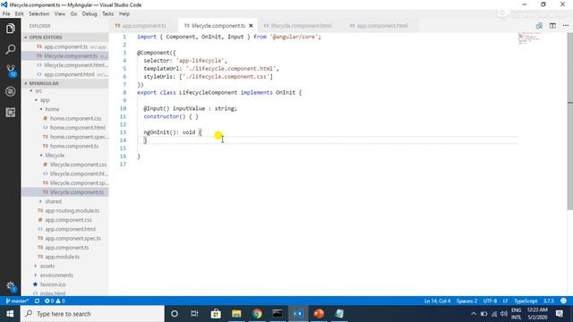 Angular 9 Tutorial - 20 - Component Life Cycle in Angular