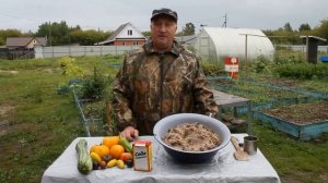 Сода,  восстановление  яйценоскости у кур.