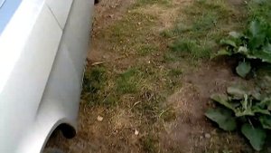 Лампа ближнего света 12v 55w на Волгу 31105