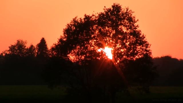 Golden Light Meditation 2 - Native American Flute - Sunset Chill - Music for Yoga, & Relaxation смотреть онлайн