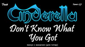 Cinderella. Don't Know What You Got. Минус с вокалом, для гитар (студийный вокал)