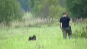 волок Марсель 9 мес.