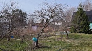 Сергиево 14 соток