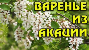 Варенье из акации