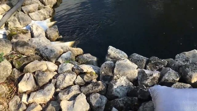 ?Свой пруд из ПВХ банеров . Биоплато из мешков и песка. смотреть онлайн