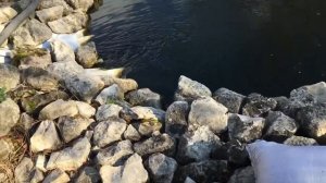 ?Свой пруд из ПВХ банеров . Биоплато из мешков и песка.