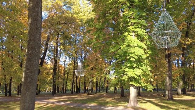 Таллинн, Парк Кадриорг /Золотая осень /Зарисовки природы (4К) #еstonia #tallinn смотреть онлайн