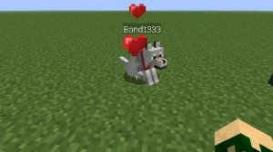 Как назвать собаку своим именем в MInecraft1.5.2!