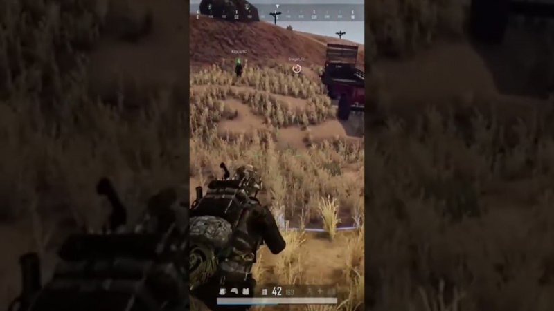 Такие вот напарники в PUBG