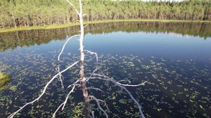 Андрей Кириенко (г. Москва)_Гляжу в озера синие (Аккордина)