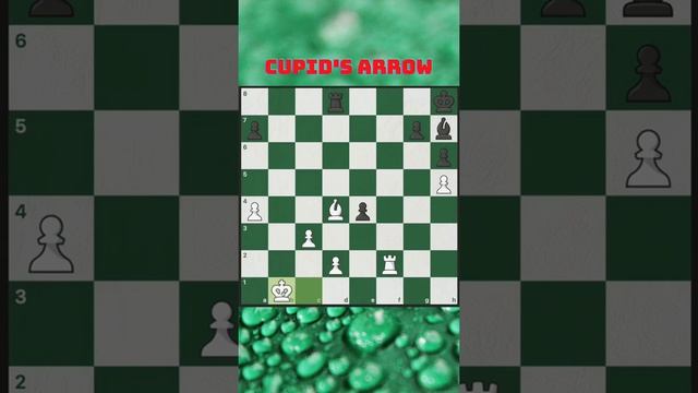 Cupid's Arrow #shorts #chess